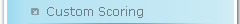 Custom Scoring